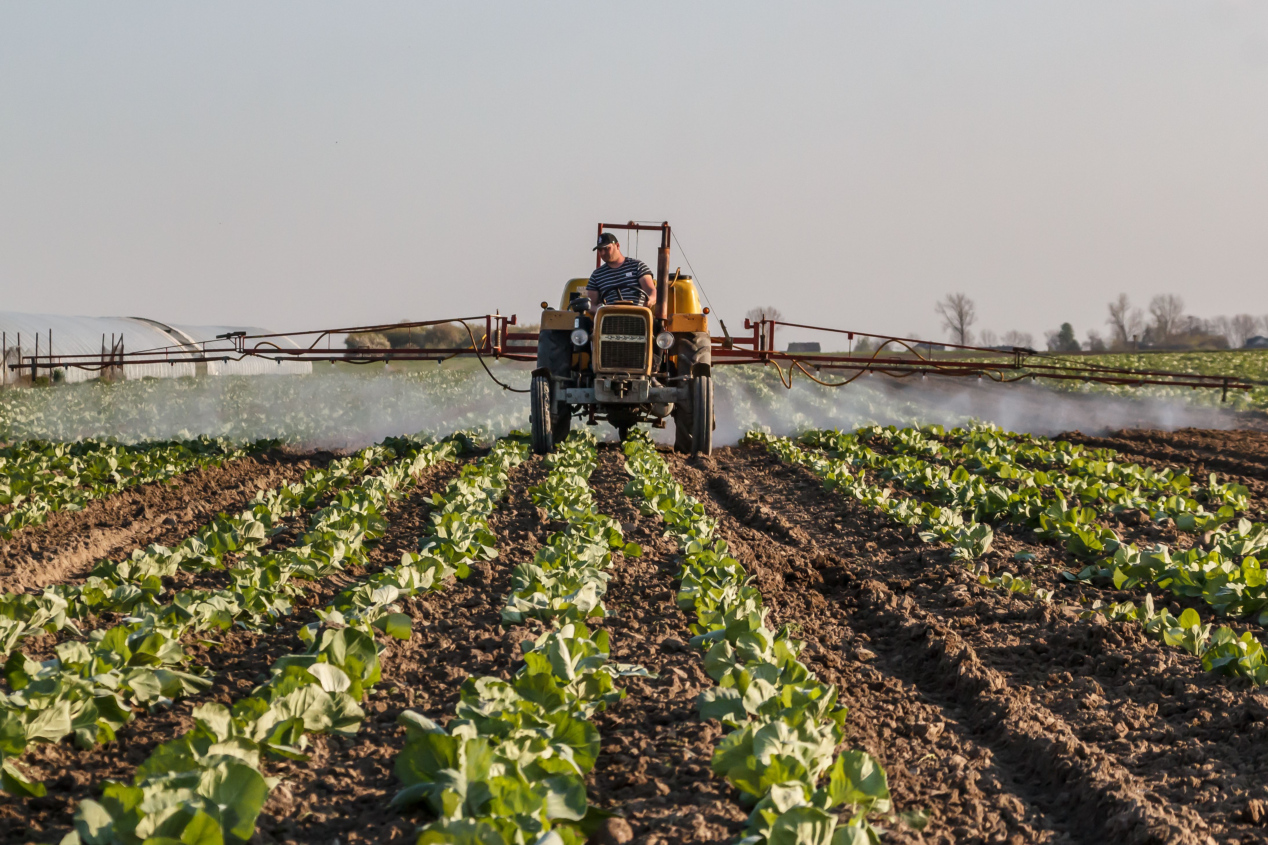 Project Categories A farmer on a tractor sprays crops with fertilizer in a rural agricultural setting.