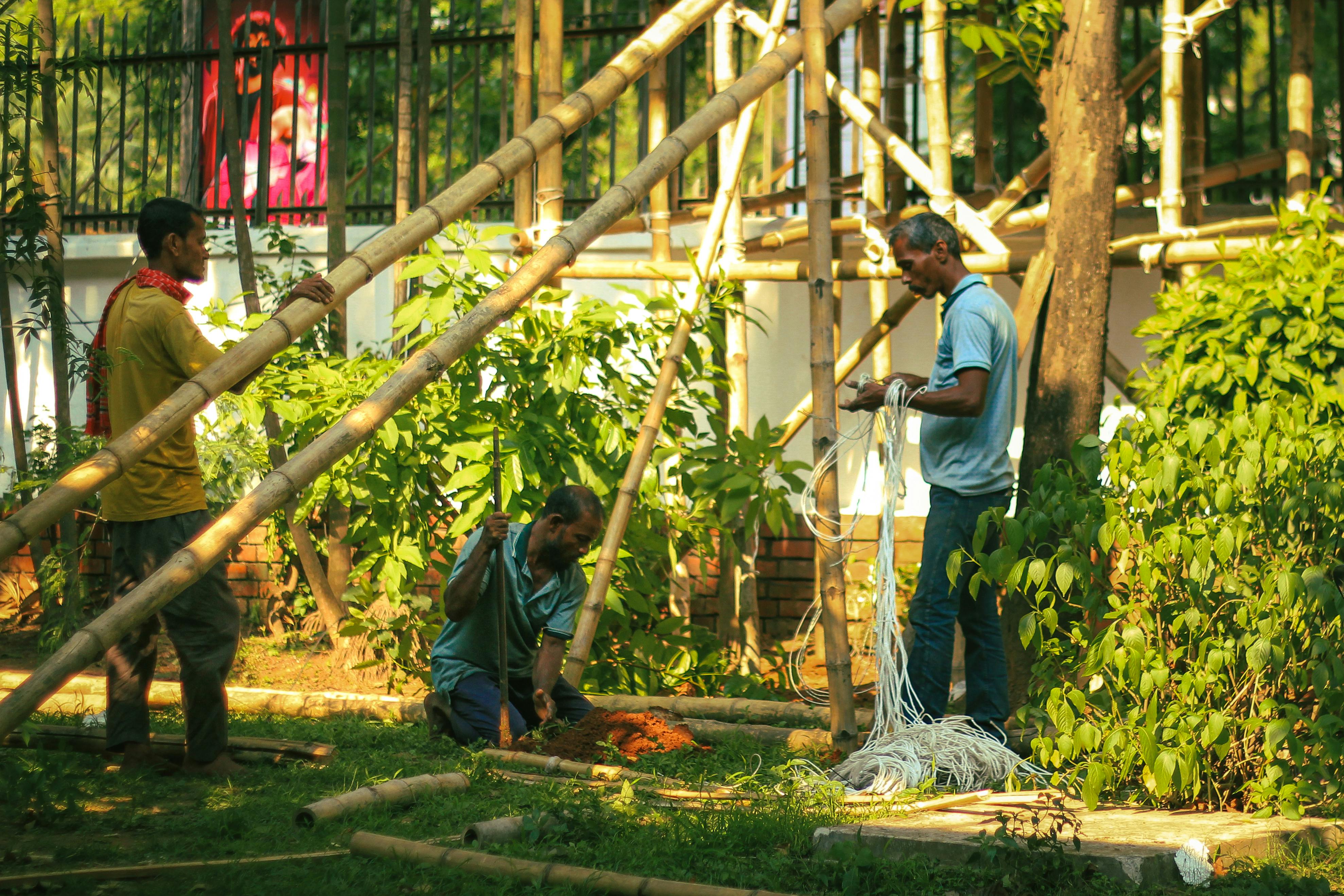 Workers in Dhaka assembling a bamboo structure, preparing for a New Year event.