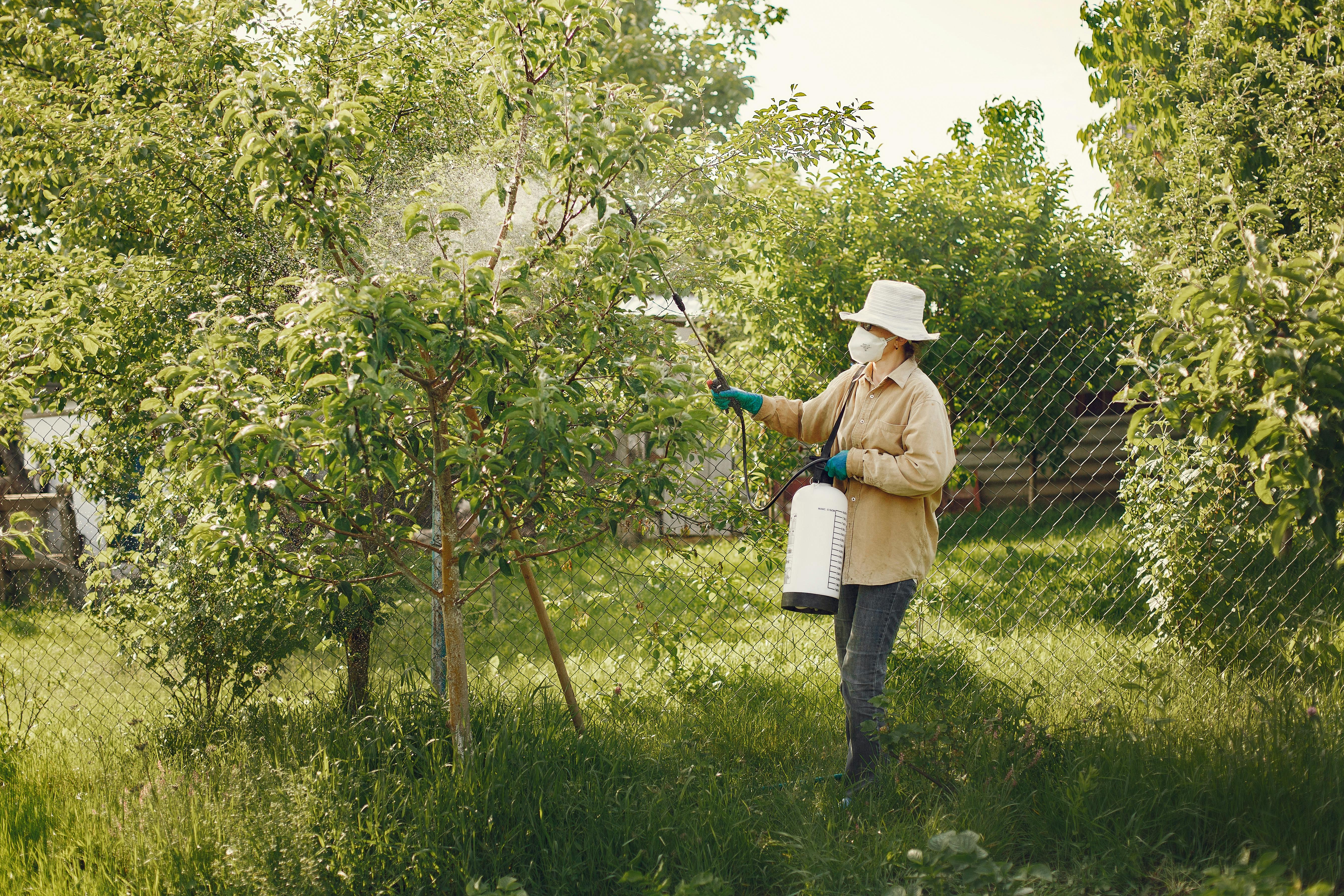Project Categories Woman in protective gear spraying pesticides on garden trees with a spray bottle.